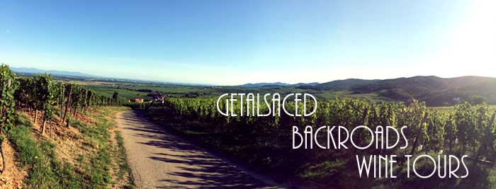 an alsace backroad in the vineyards