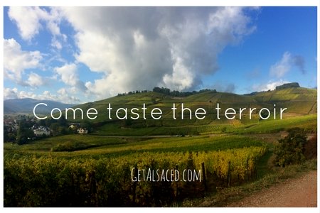 Come taste the terroir with GetAlsaced